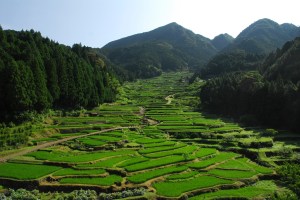 ????????????????????????????????????